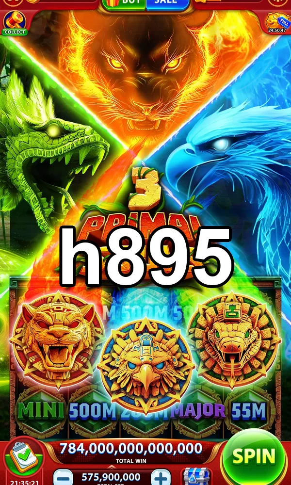h895 APK
