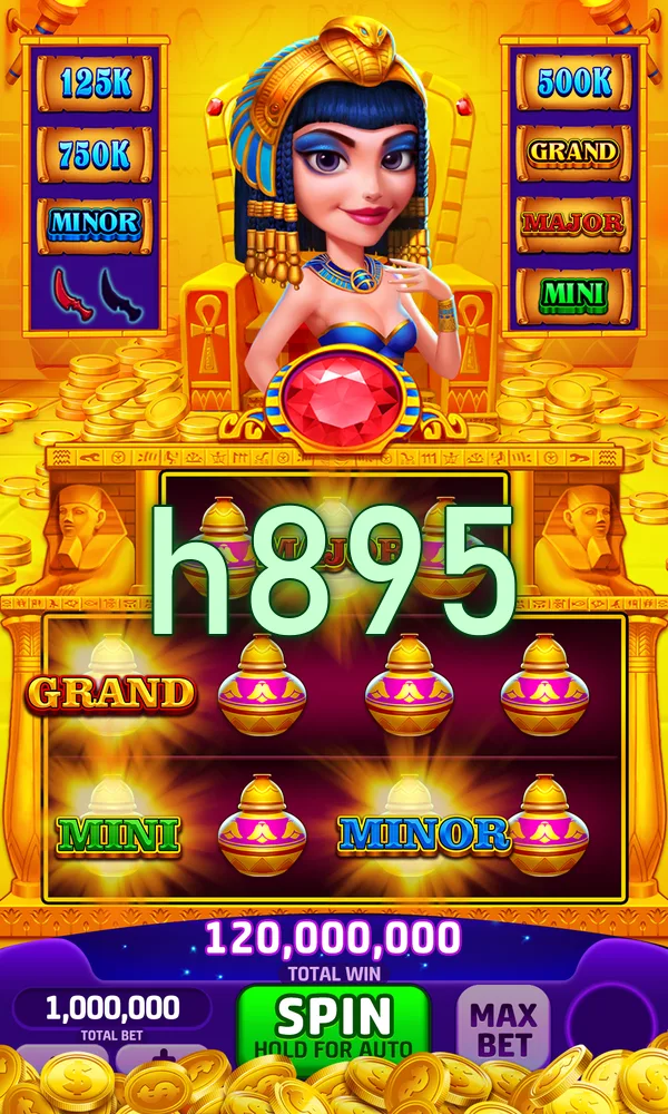 h895 APK