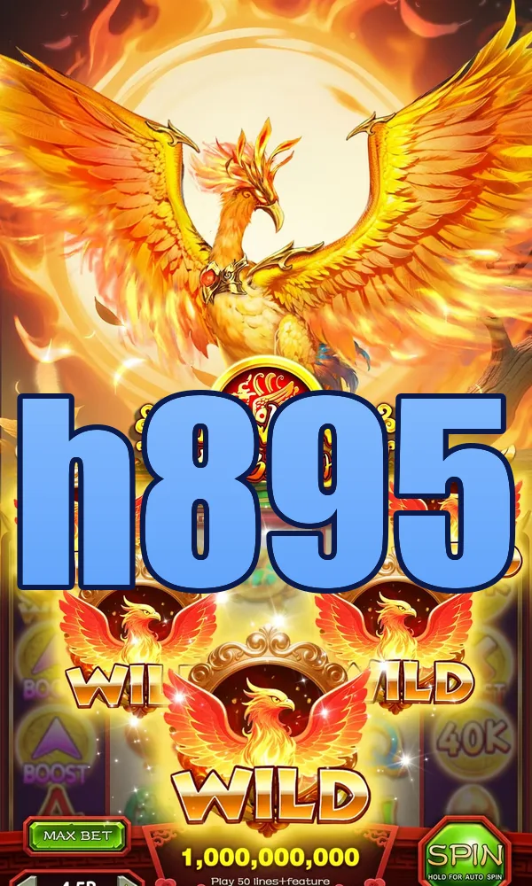 h895 Masuk